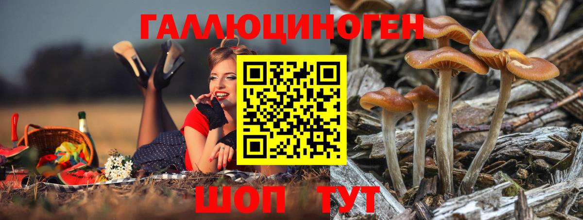 Псилоцибиновые грибы Magic Shrooms  купить  цена  Галлюциногенные грибы MAGIC MUSHROOMS  Зерноград  Вход с VPN 