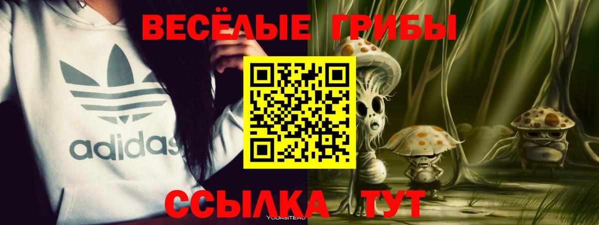 Галлюциногенные грибы мицелий Зерноград