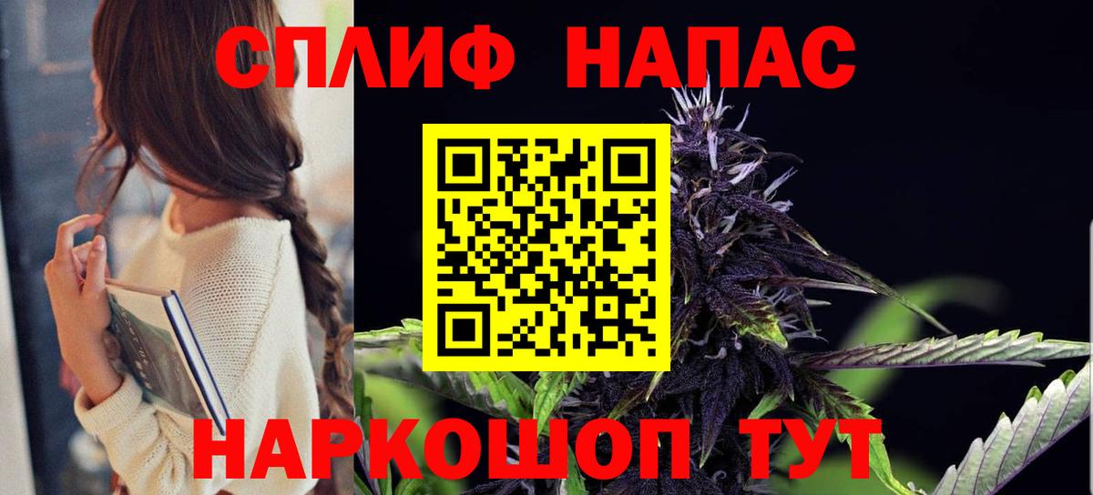 Каннабис индика Зерноград